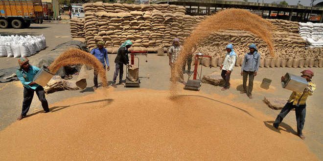 Corona Virus: Increased procurement of wheat by giving center to farmers