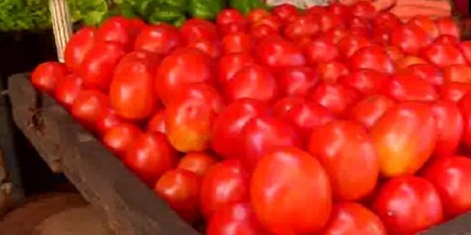 Tomato kills people suffering from inflation, now costs Rs 80 per kg