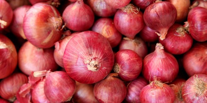 Bumper crop of onion, government will create buffer stock