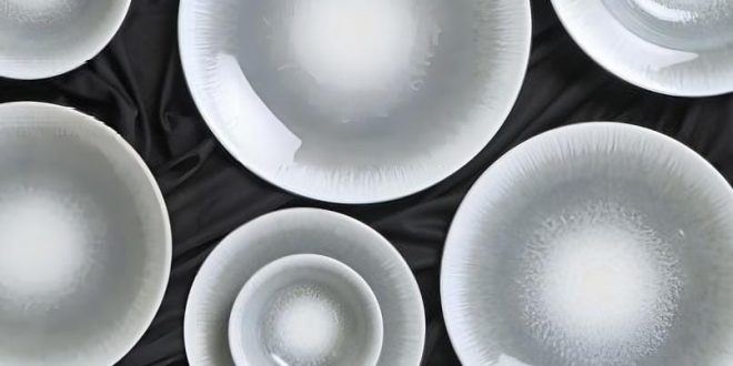 Clay Craft India Presents JCPL Porcelain Collection, India's First AI-Enhanced Digital Printed Tableware with Lifetime Print Warranty