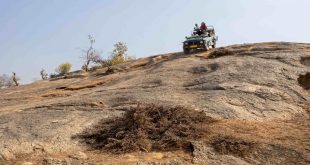 Sterling started his innings by launching Ratan Vilas Jawai at the Leopard Sanctuary in Rajasthan.