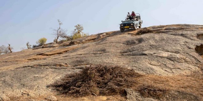 Sterling started his innings by launching Ratan Vilas Jawai at the Leopard Sanctuary in Rajasthan.