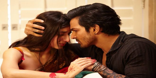 Sanam Teri Kasam re-released, became superhit, ruling the charts